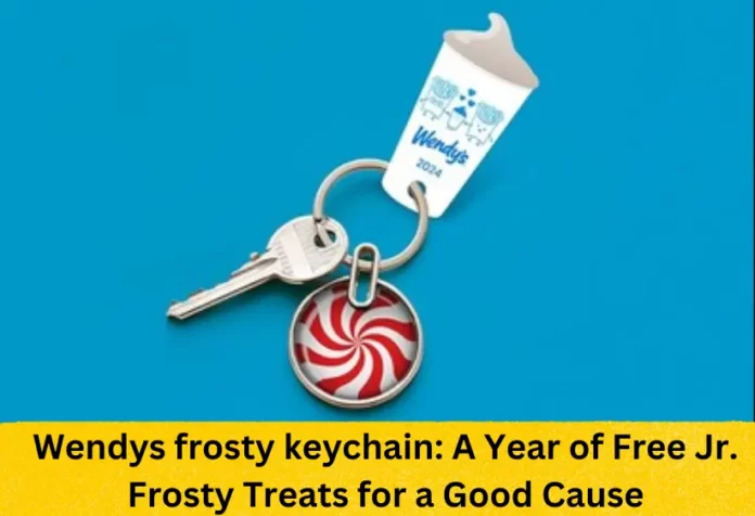 Wendys frosty keychain