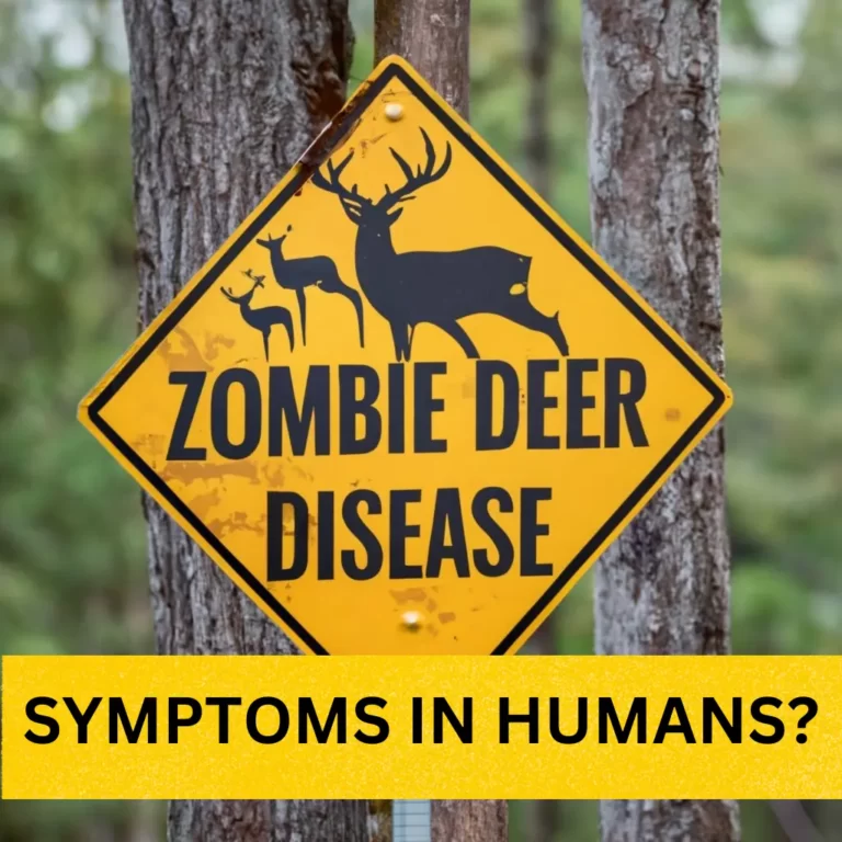 Zombie deer disease symptoms