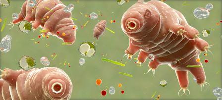 Harnessing the Power of Tardigrades