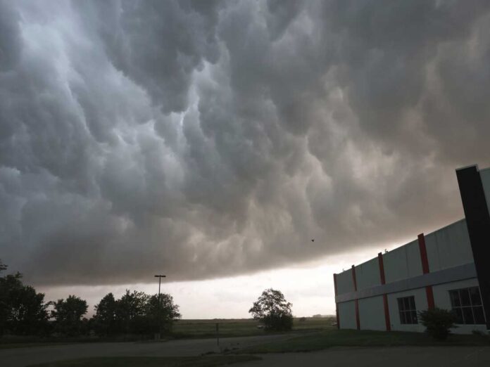 LIVE Dallas Weather