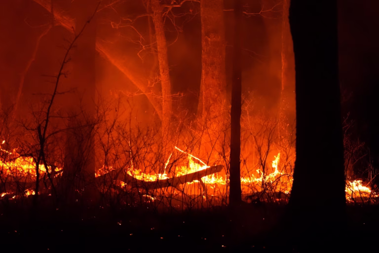 New Jersey wildfires, Jones Road Fire, wildfire evacuation NJ, Ocean County fire update, NJ wildfire response, wildfire emergency NJ, Barnegat fire, wildfire containment NJ, community wildfire aid, wildfire recovery efforts