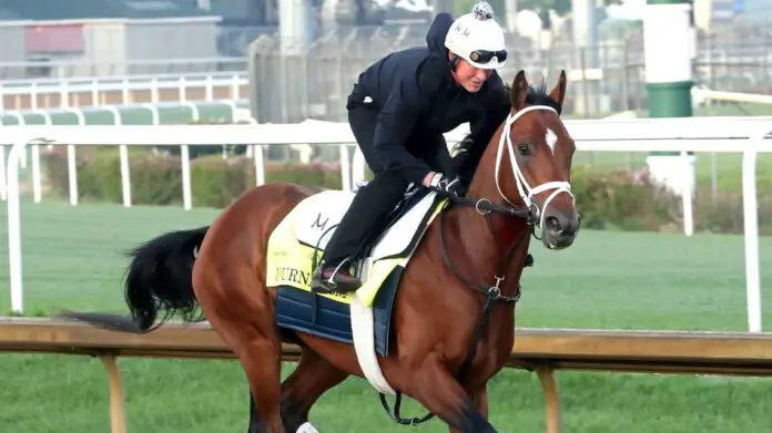 Toby Keith Derby horse