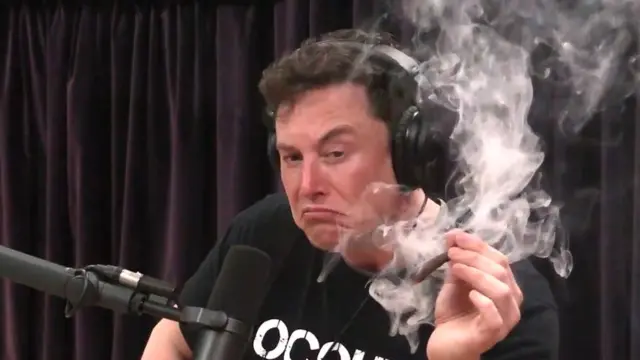 Elon Musk Drug Use