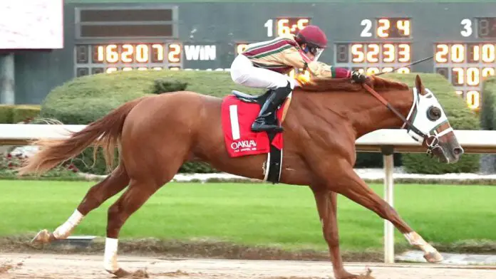 American Promise Horse
