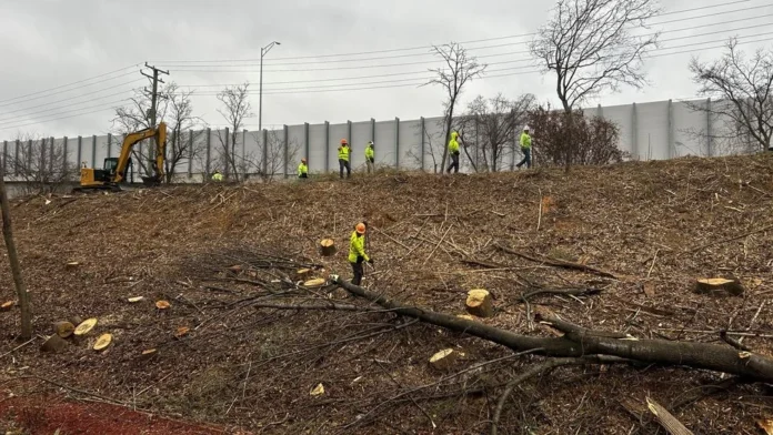 Dominion Energy Tree Cutting Controversy