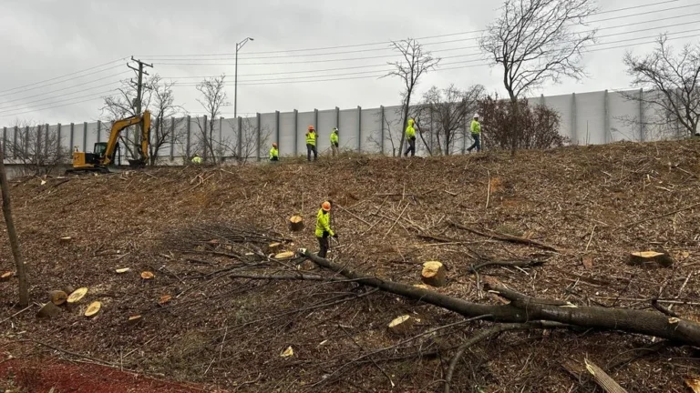 Dominion Energy Tree Cutting Controversy