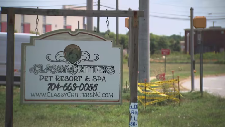 Classy Critters Pet Resort and Spa