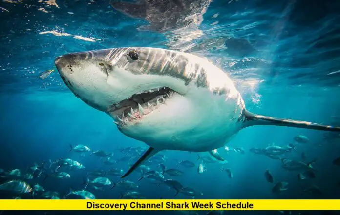 Discovery Channel Shark Week Schedule