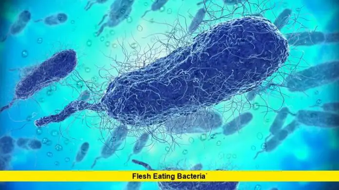 flesh eating bacteria