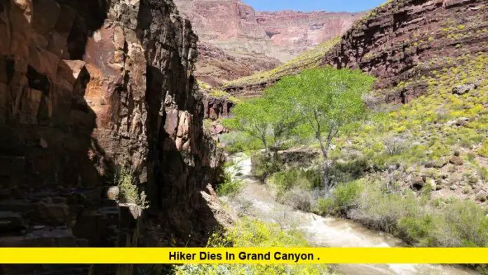 hiker dies in Grand Canyon,Grand Canyon trail death,South Kaibab Trail incident,heatwave hiking fatality,Phantom Ranch hike danger,Grand Canyon summer safety,inner canyon risk,trail safety alert,heat-related hiking death,Grand Canyon warning, Hiker dies in Grand Canyon .