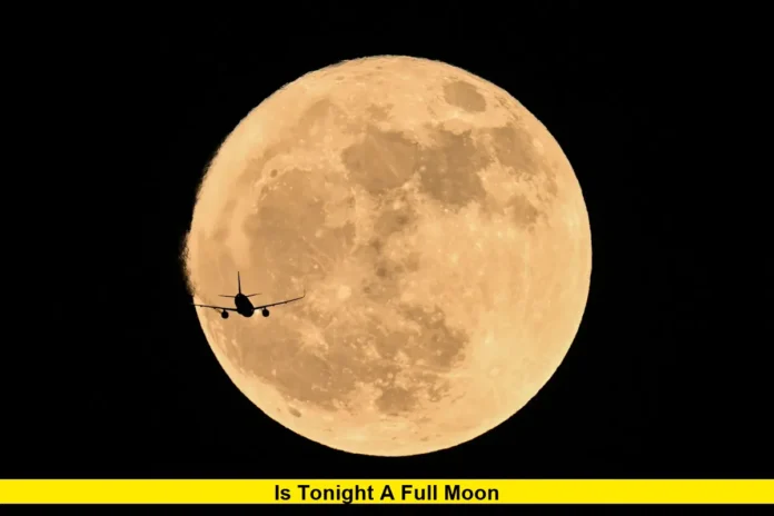 Is Tonight a Full Moon