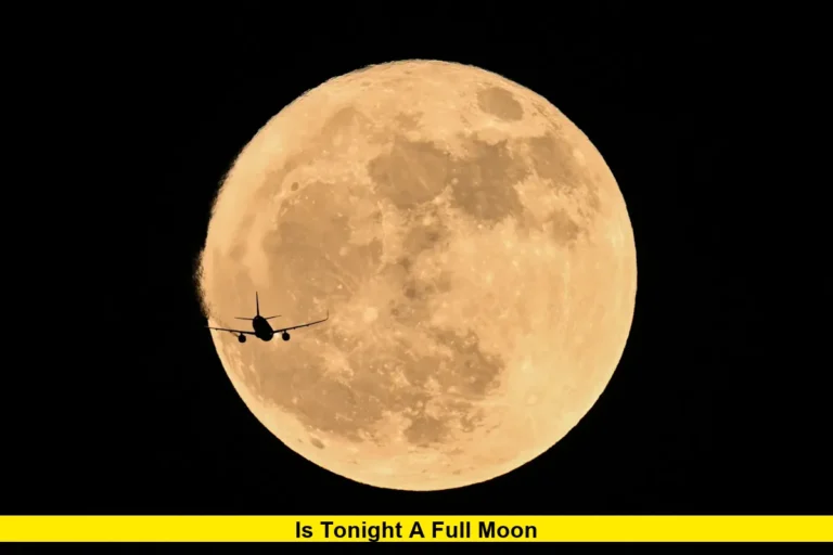 Is Tonight a Full Moon