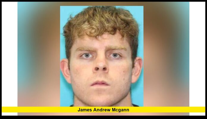 James Andrew McGann