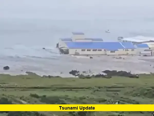 Tsunami Update