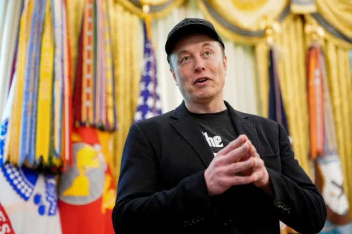 Elon Musk Political Party