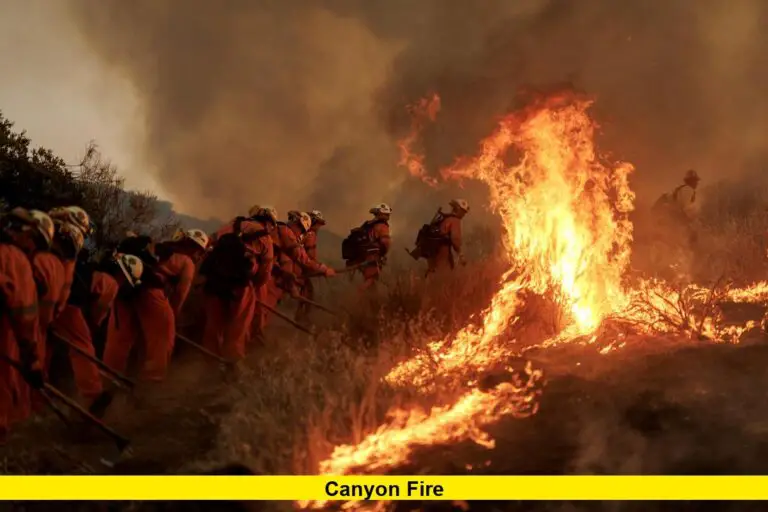 Canyon Fire