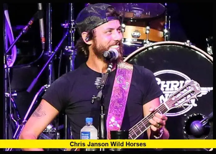 Chris Janson Wild Horses
