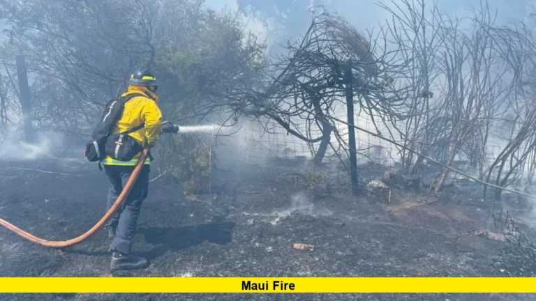 Maui Fire