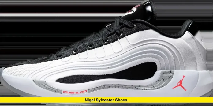Nigel Sylvester shoes