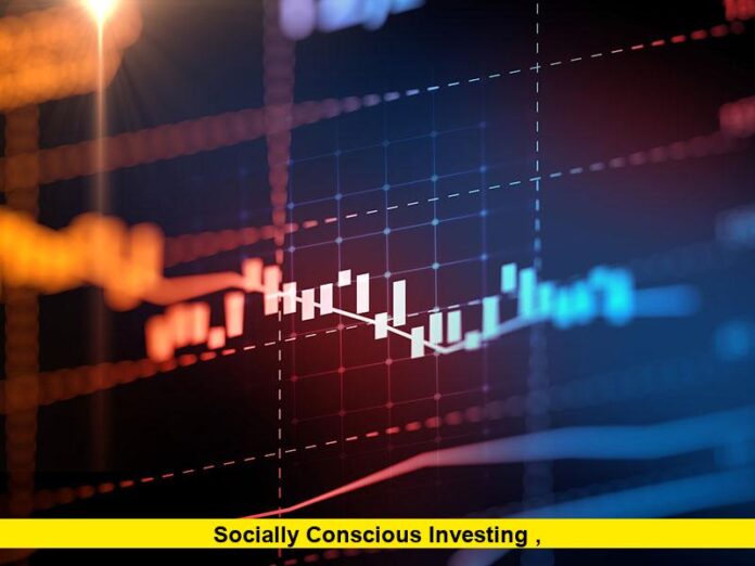 Socially Conscious Investing