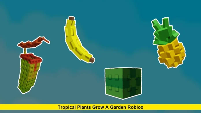 Tropical Plants Grow A Garden Roblox