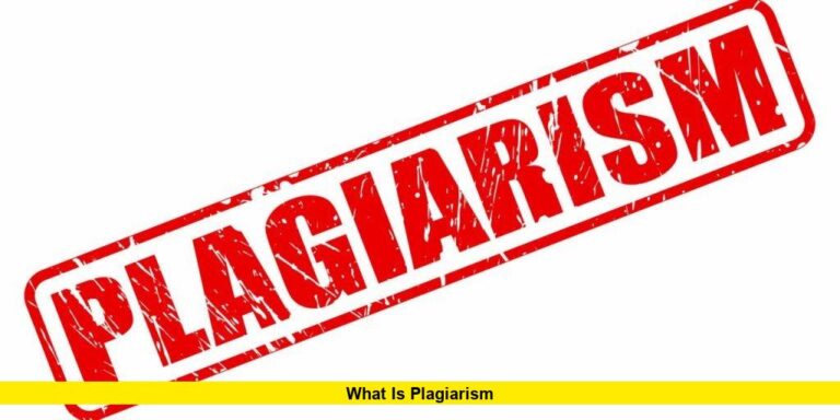 What is Plagiarism