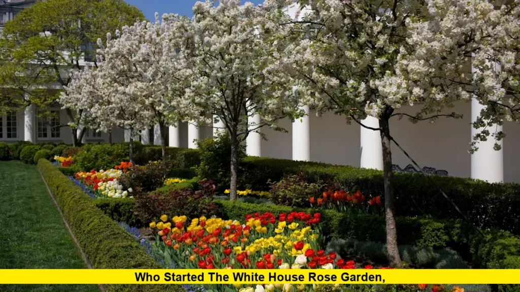 Who Started the White House Rose Garden