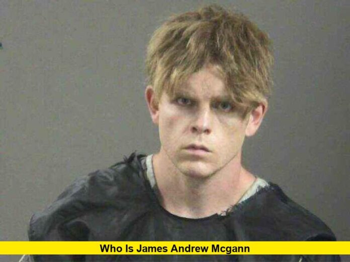 Who is James Andrew McGann