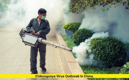 chikungunya virus outbreak in China