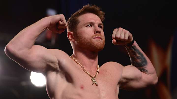 Canelo Álvarez Net Worth