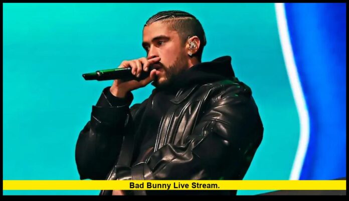Bad Bunny Live Stream