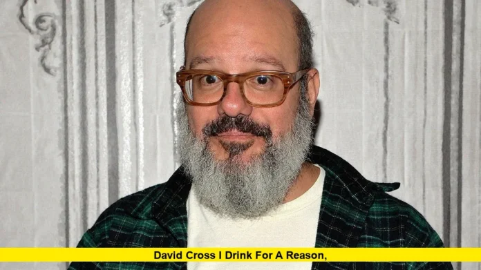 David Cross I Drink for a Reason, David Cross I Drink for a Reason