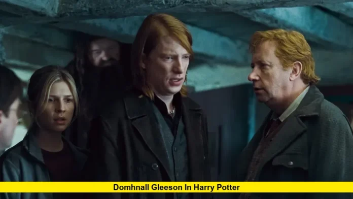 Domhnall Gleeson in Harry Potter