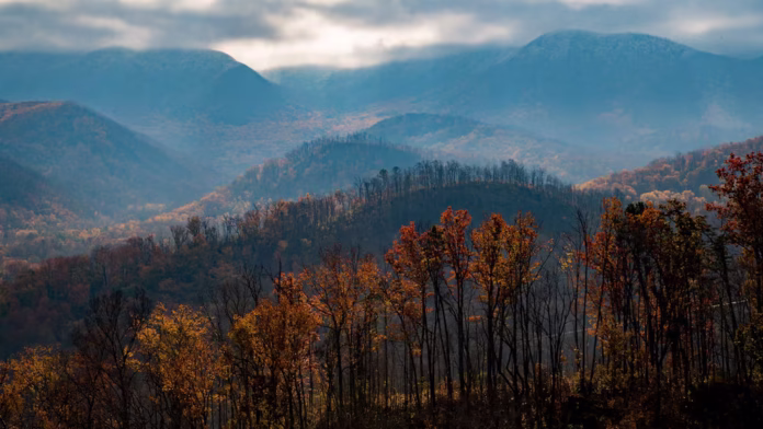 Great Smoky Mountains National Park