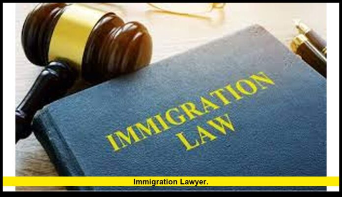 Immigration Lawyer
