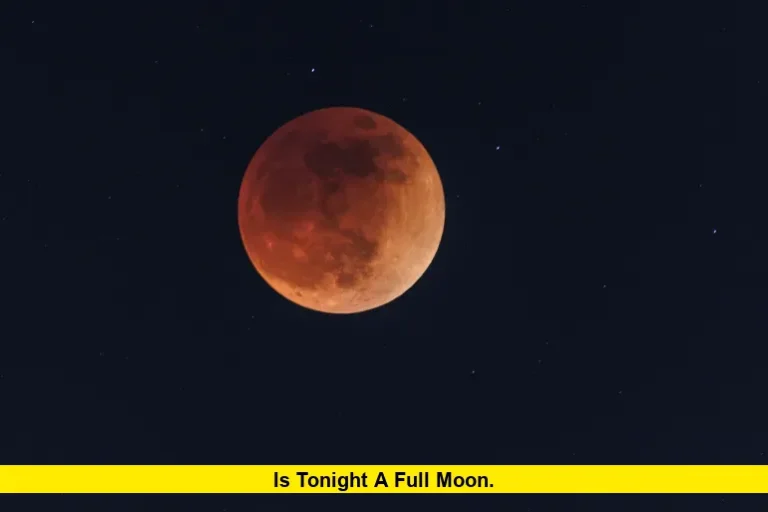 Is Tonight a Full Moon