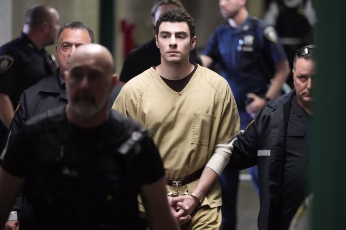 Luigi Mangione terrorism