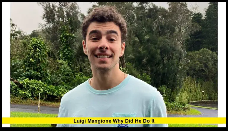 Luigi Mangione why did he do it