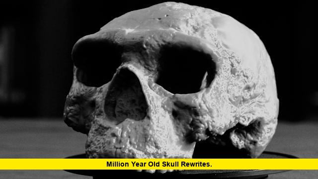 Million Year Old Skull Rewrites. Million Year Old Skull Rewrites