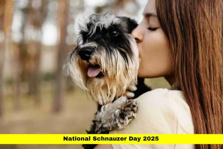 National Schnauzer Day 2025