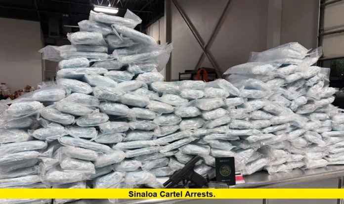 Sinaloa Cartel Arrests