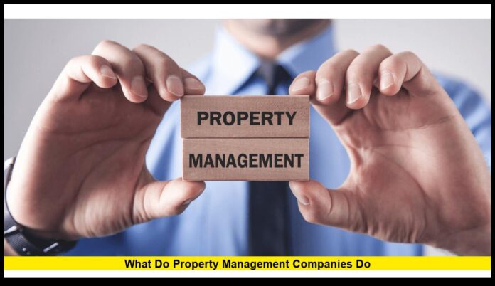 What Do Property Management Companies Do? A Complete Guide for Property Owners