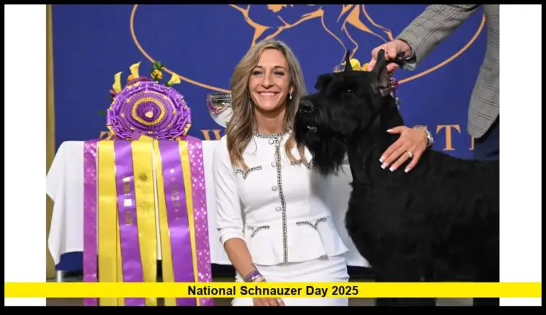 national schnauzer day 2025
