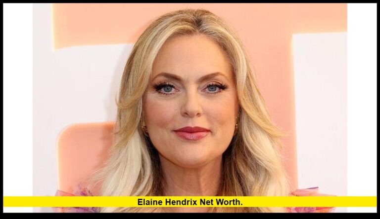 Elaine Hendrix net worth