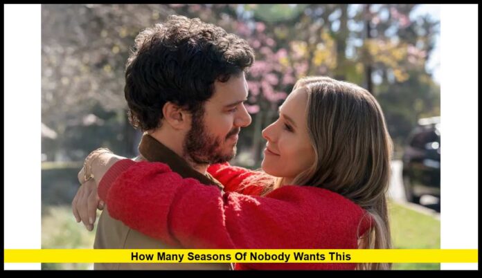 How Many Seasons of Nobody Wants This