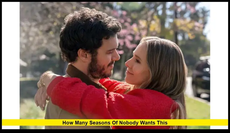 How Many Seasons of Nobody Wants This