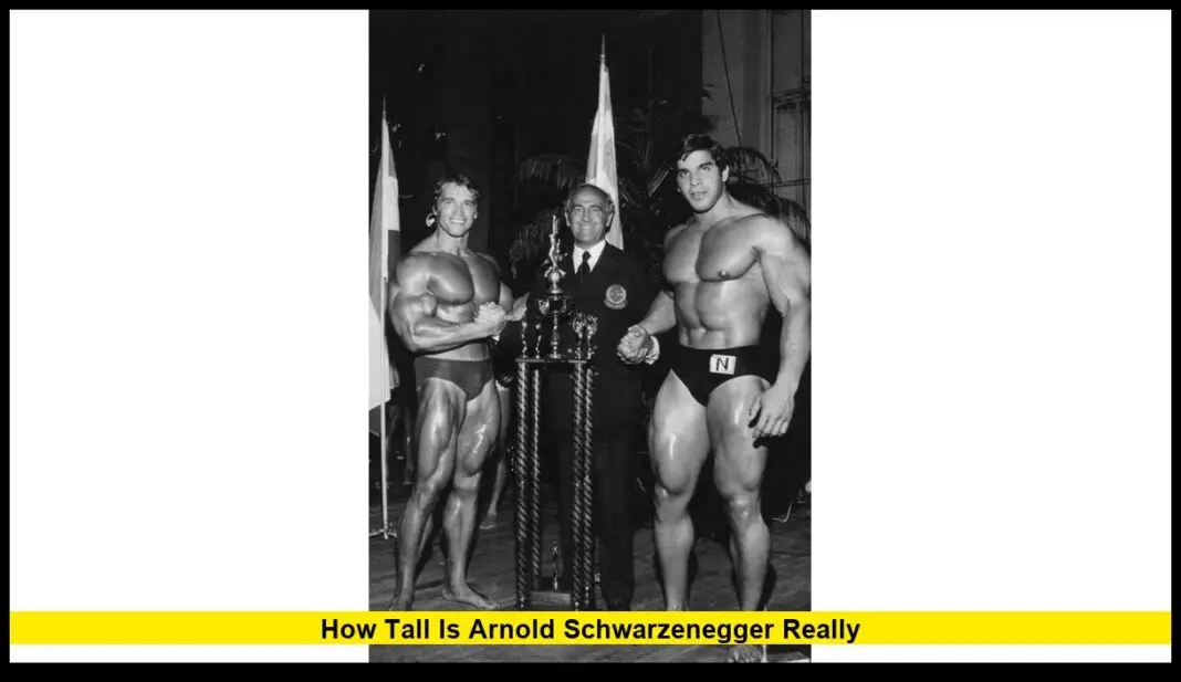 How Tall Is Arnold Schwarzenegger Really? The Truth Behind His Real Height