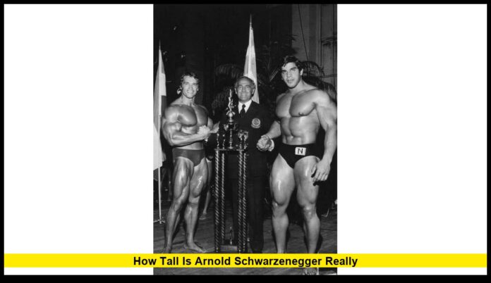How Tall Is Arnold Schwarzenegger Really How Tall Is Arnold Schwarzenegger Really? The Truth Behind His Real Height