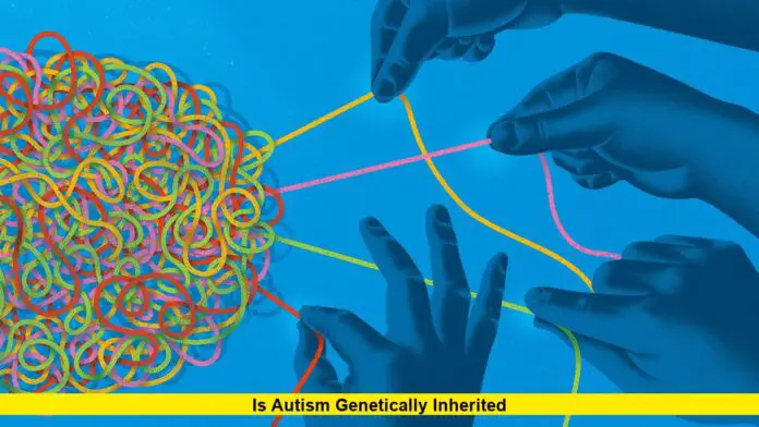 Is Autism Genetically Inherited