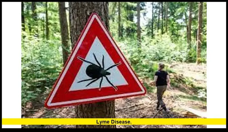 Lyme disease